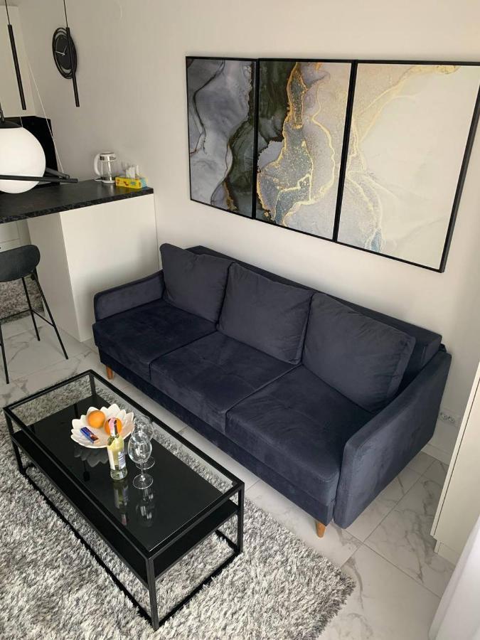 New Modern Apartment Uzjhorod Eksteriør bilde