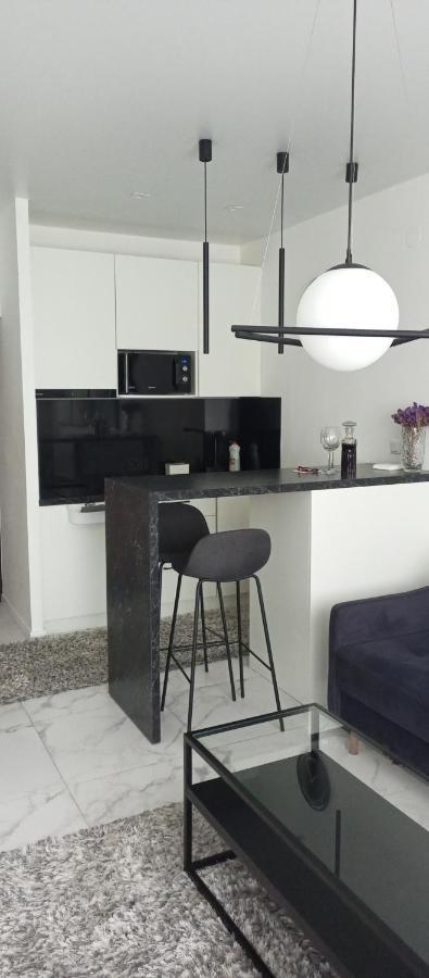 New Modern Apartment Uzjhorod Eksteriør bilde